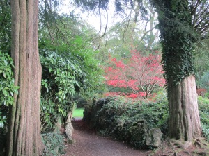 Entry to Druid Forest